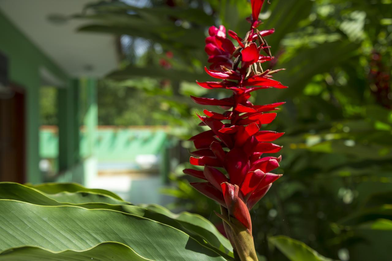 Pousada Camila Paraty Bagian luar foto